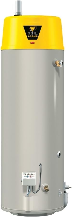 AO Smith BTX-80 Tank Type Water Heater with Commercial Natural Gas